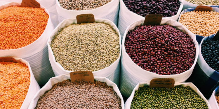 Kenya Main Focus as Africa Makes Beans Answer to Food Insecurity