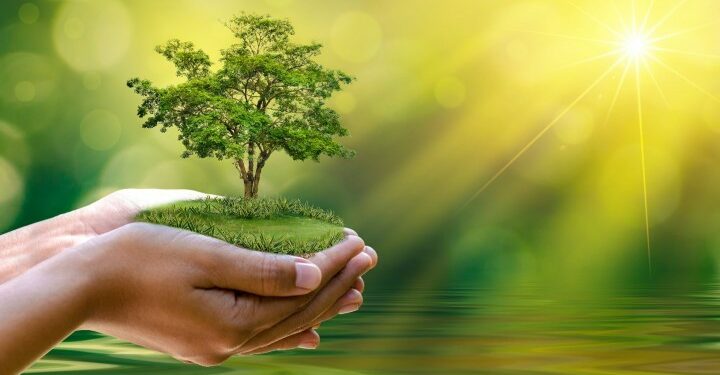 Africa Strives for Enhanced Climate Transparency Ahead of COP28