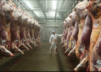 Ethiopia Set to Earn $141 Million from Meat Exports