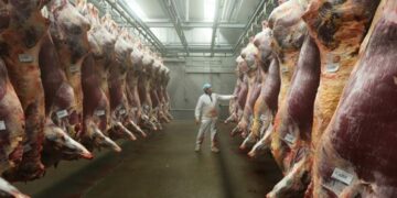 Ethiopia Set to Earn $141 Million from Meat Exports