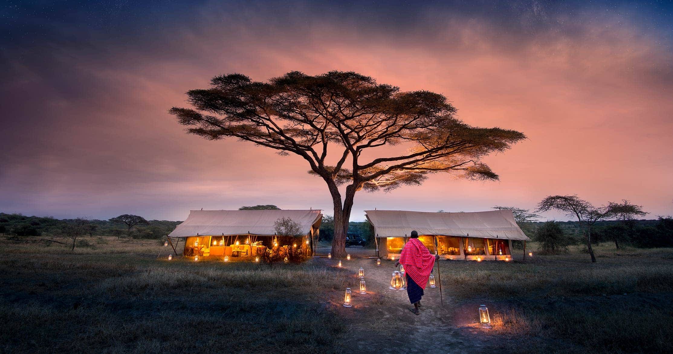 Serengeti wins top park in Africa for fifth time in a row