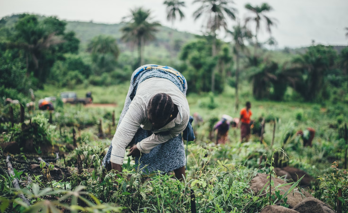 Smallholder Farmers in Developing Nations Left in the Cold for Climate Financing