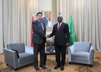Cementing Ties: Chinese Ambassador Wang Wengang Presents Credentials in Equatorial Guinea within 72 Hours