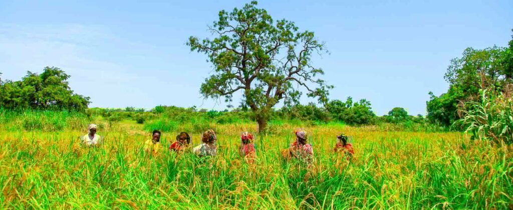 DRC: African Development Bank Unveils Ambitious 2023-2028 Country Strategy Paper Focused on Industrialization and Employment