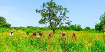 DRC: African Development Bank Unveils Ambitious 2023-2028 Country Strategy Paper Focused on Industrialization and Employment