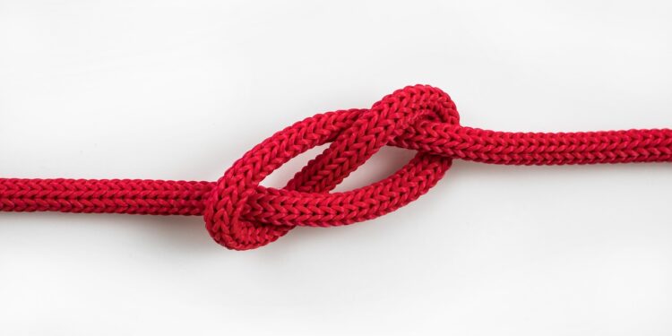 China-Kenya Strengthen Bilateral Ties: Talks Between Wang Yi and Kenyan Cabinet Secretaries