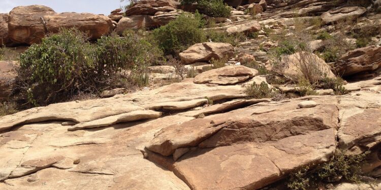 Aisha Ahmed Hussein: Bridging Educational Gaps for Somali Children