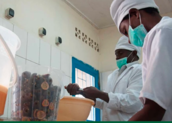 Angola: Growth of non-petroleum exports and 36,000 new businesses thanks to African Development Bank support