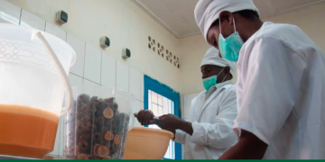 Angola: Growth of non-petroleum exports and 36,000 new businesses thanks to African Development Bank support