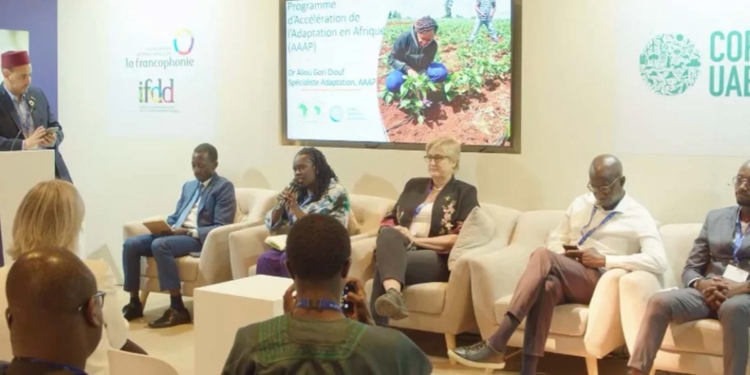 COP28 Highlights: Empowering Francophone African Youth in Climate Action"