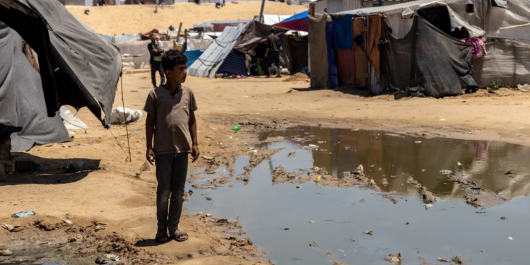 Urgent Humanitarian Pause Needed in Gaza for Critical Polio Vaccination Campaign