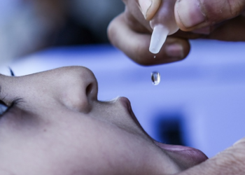 Gaza: vaccination successes; Gaza and Africa in the fight against poliomyelitis