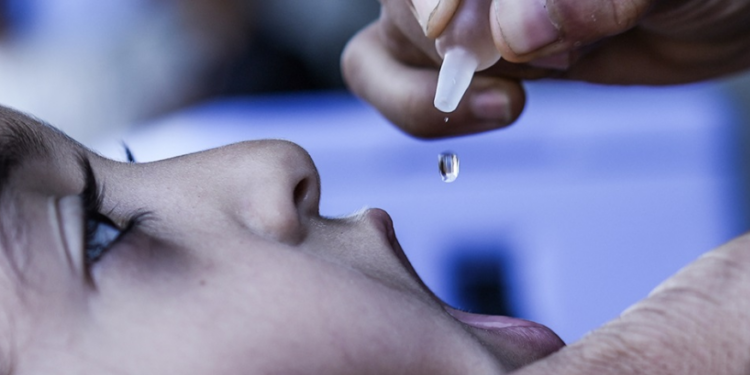 Gaza: vaccination successes; Gaza and Africa in the fight against poliomyelitis