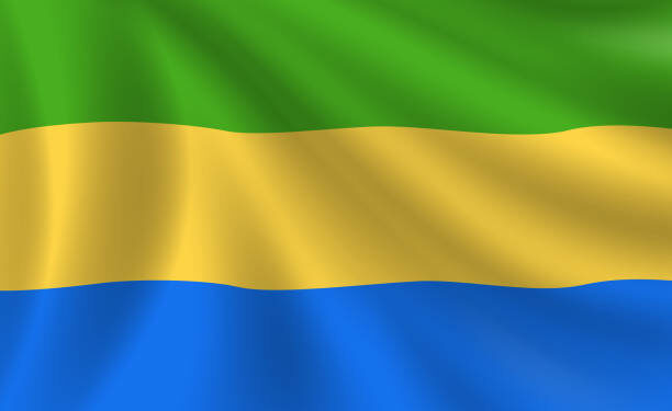 Gabon: a new Constitution for renewal