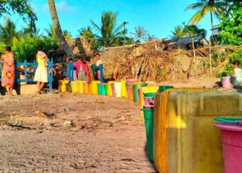 Africa: The ABM, a Model for Global Climate Action