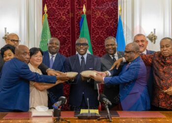 Equatorial Guinea: Government launches a pilot rice plantation