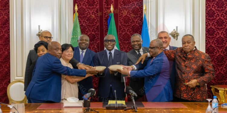 Equatorial Guinea: Government launches a pilot rice plantation