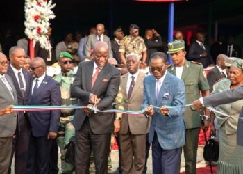 CEMAC: Gabon and Equatorial Guinea, united by 10 MW of electricity