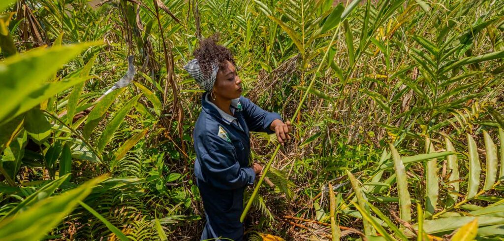 Madagascar: That's how it is the rural economy is transforming