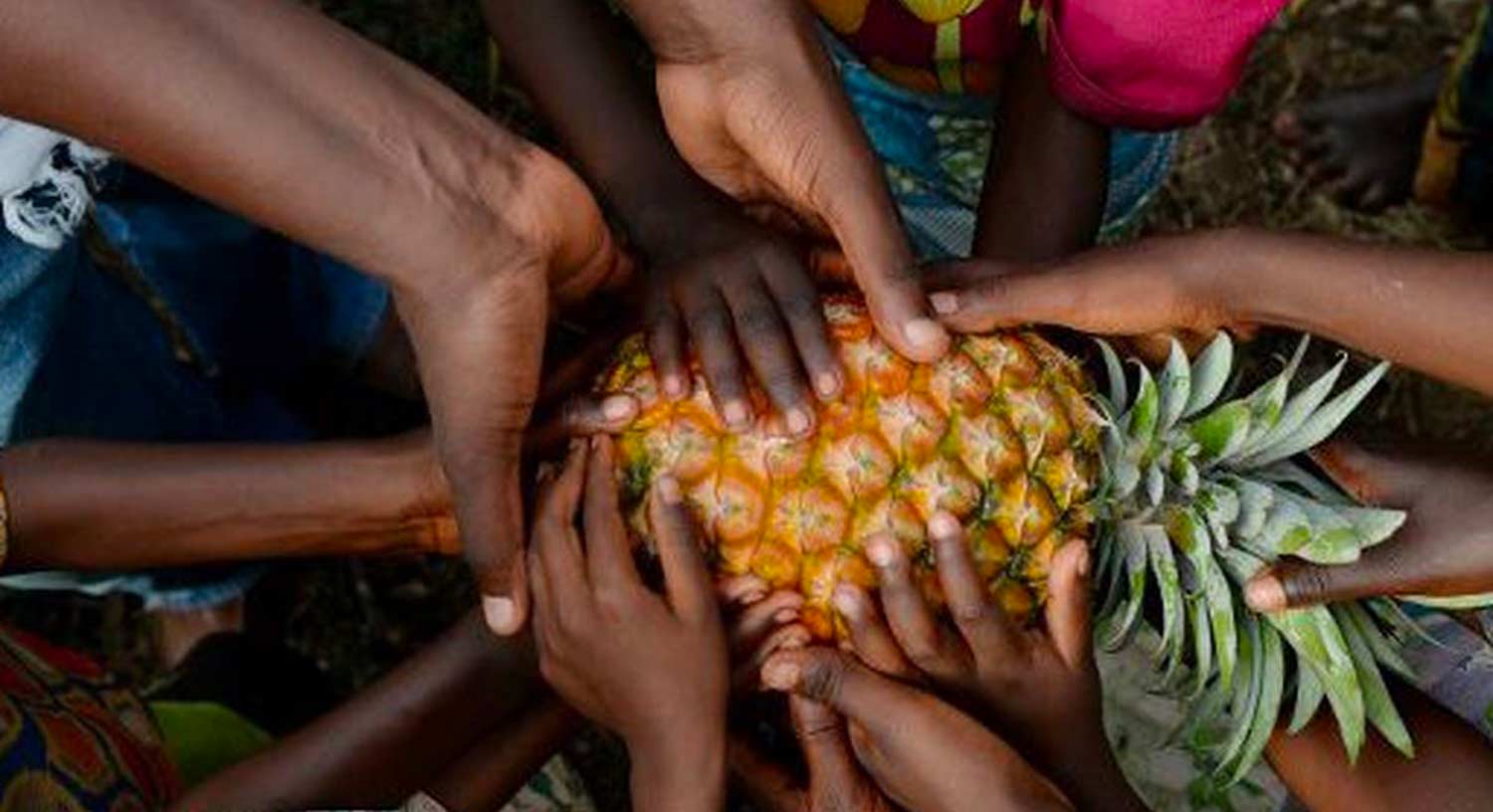 Cameroon: Ngoumou, progress from the land