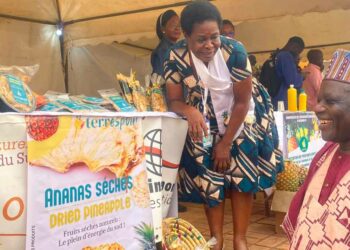 Cameroon: Ngoumou, progress from the land