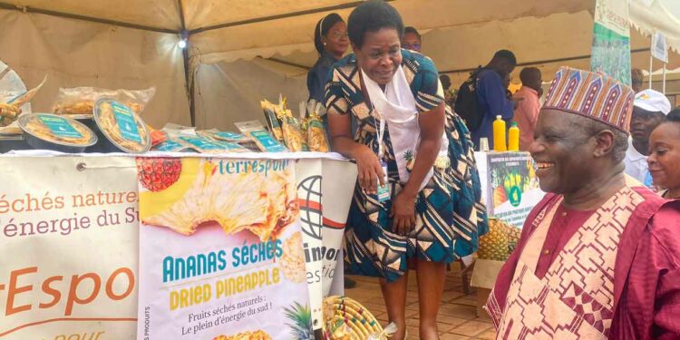 Cameroon: Ngoumou, progress from the land