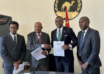 Eritrea: Electrification of Teseney, Kerekebet, and Barentu announced with 12 MW mini-grids