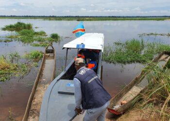 DRC: Health coverage advances with WHO support