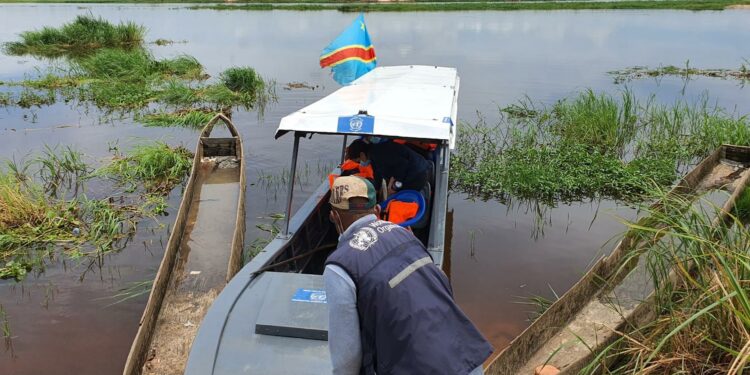 DRC: Health coverage advances with WHO support