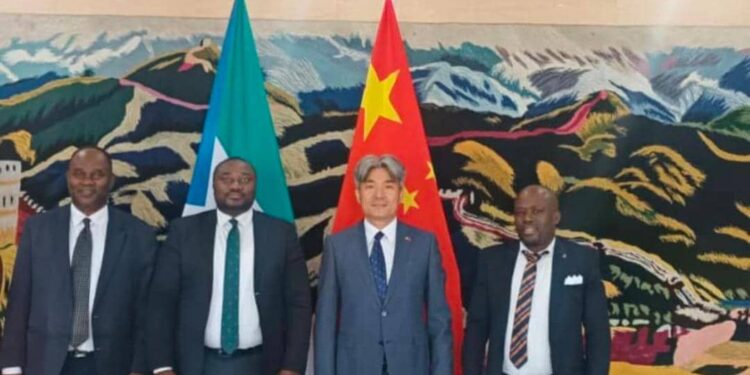 Malabo: Bioko Chamber of Commerce Strengthens Ties with China and Namibia, Explores Alliance with Dreams Hub