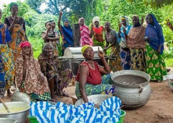 Benin: The nut industry empowers numerous women in rural áreas