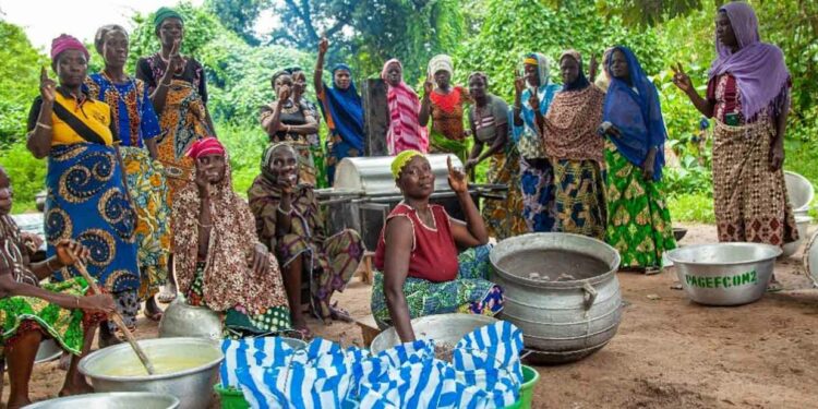Benin: The nut industry empowers numerous women in rural áreas