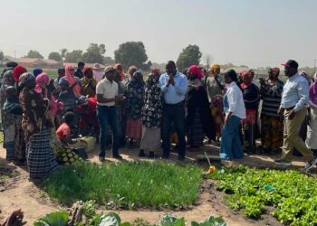 Gambia boosts its development with sustainable infrastructure