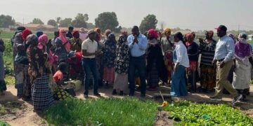 Gambia boosts its development with sustainable infrastructure