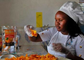 From soil to hope: agricultural innovation changing lives