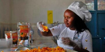 From soil to hope: agricultural innovation changing lives