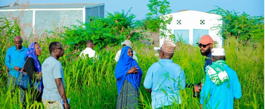 Land, water and dignity: how rural villages in Djibouti are being reborn