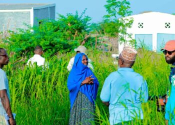 Land, water and dignity: how rural villages in Djibouti are being reborn