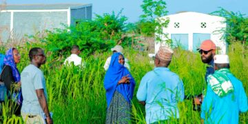 Land, water and dignity: how rural villages in Djibouti are being reborn