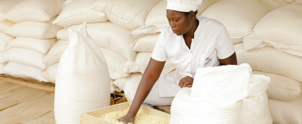 Togo: $44 million mobilized to transform youth agricultura