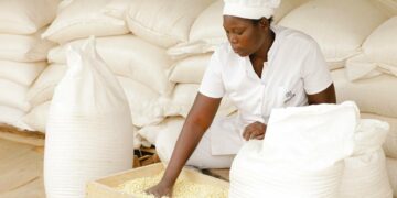 Togo: $44 million mobilized to transform youth agricultura