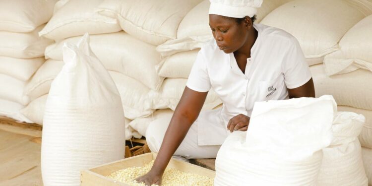 Togo: $44 million mobilized to transform youth agricultura