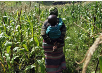 Eastern and Southern Africa drive agri-food transformation to combat hunger