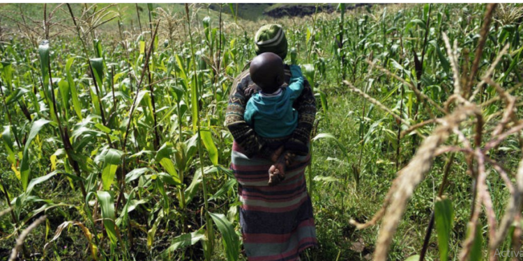 Eastern and Southern Africa drive agri-food transformation to combat hunger
