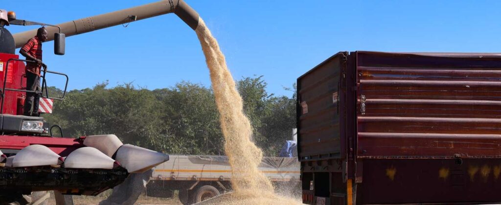 Zimbabwe invests $10.12 million to create 3,000 jobs and boost agricultural resilience