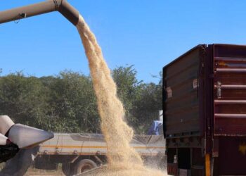 Zimbabwe invests $10.12 million to create 3,000 jobs and boost agricultural resilience