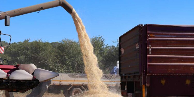 Zimbabwe invests $10.12 million to create 3,000 jobs and boost agricultural resilience