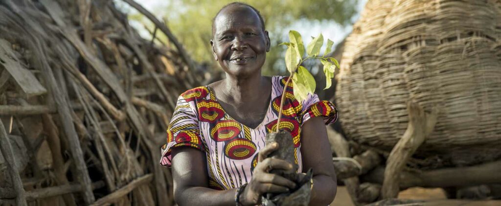 Green Transformation in Africa: Women Leaders Pave the way for climate projects with business impact