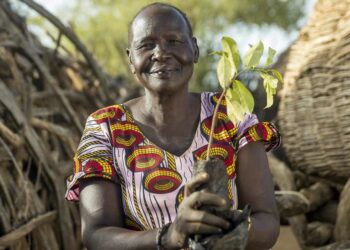Green Transformation in Africa: Women Leaders Pave the way for climate projects with business impact