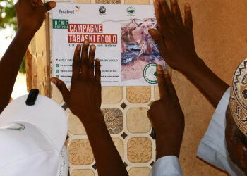 Niger: a youth campaign transforms Tabaski into an eco-friendly celebration